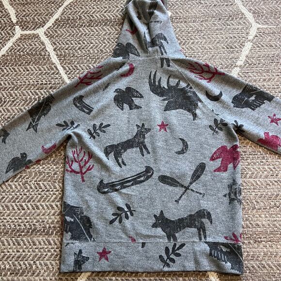 POLO COUNTRY RALPH LAUREN BRUSHED FLEECE PRINTED GRAPHIC HOODIE. NEW WITH TAGS.M - Picture 2 of 8